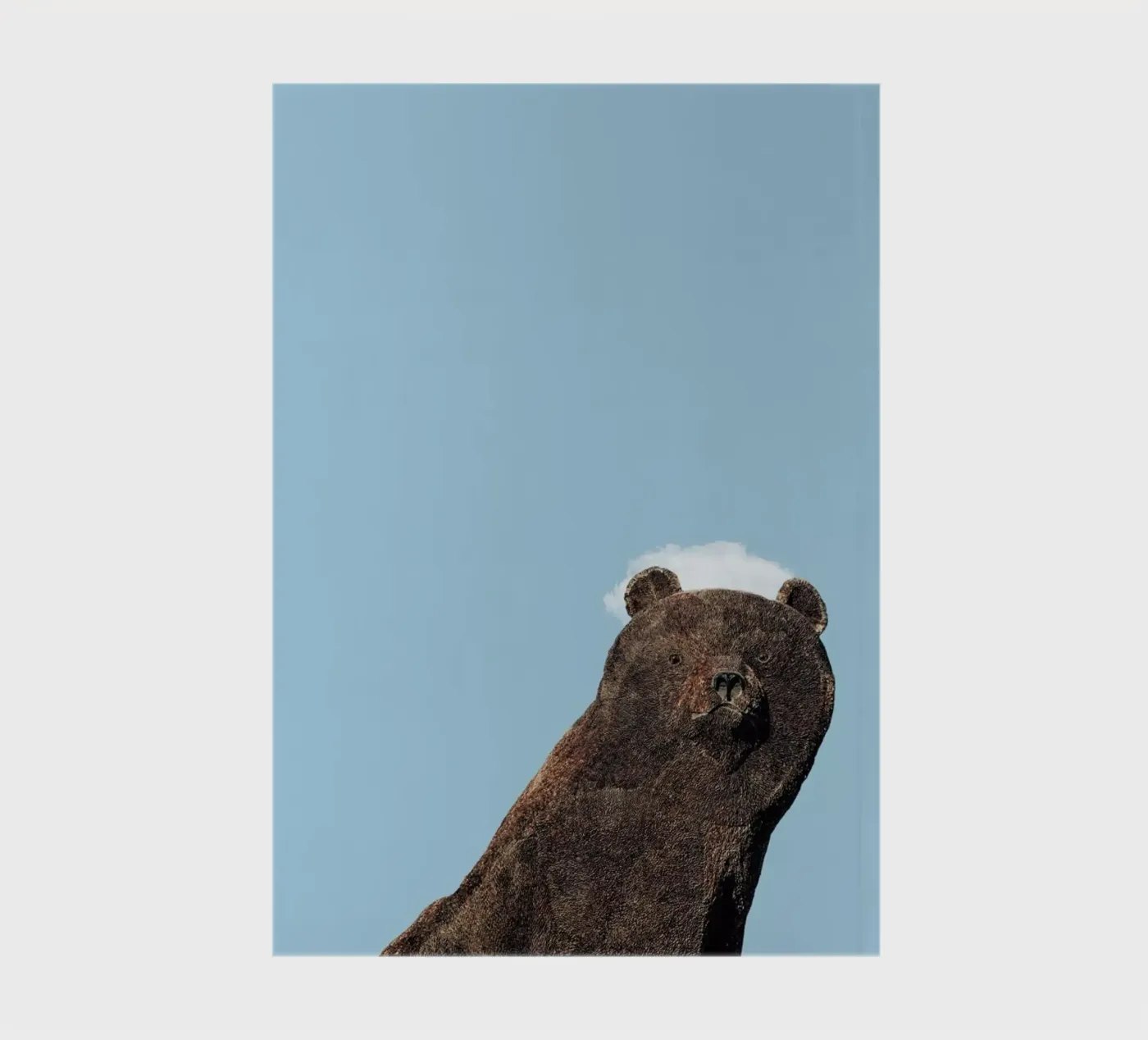 Bear notebook by Rafael Burato