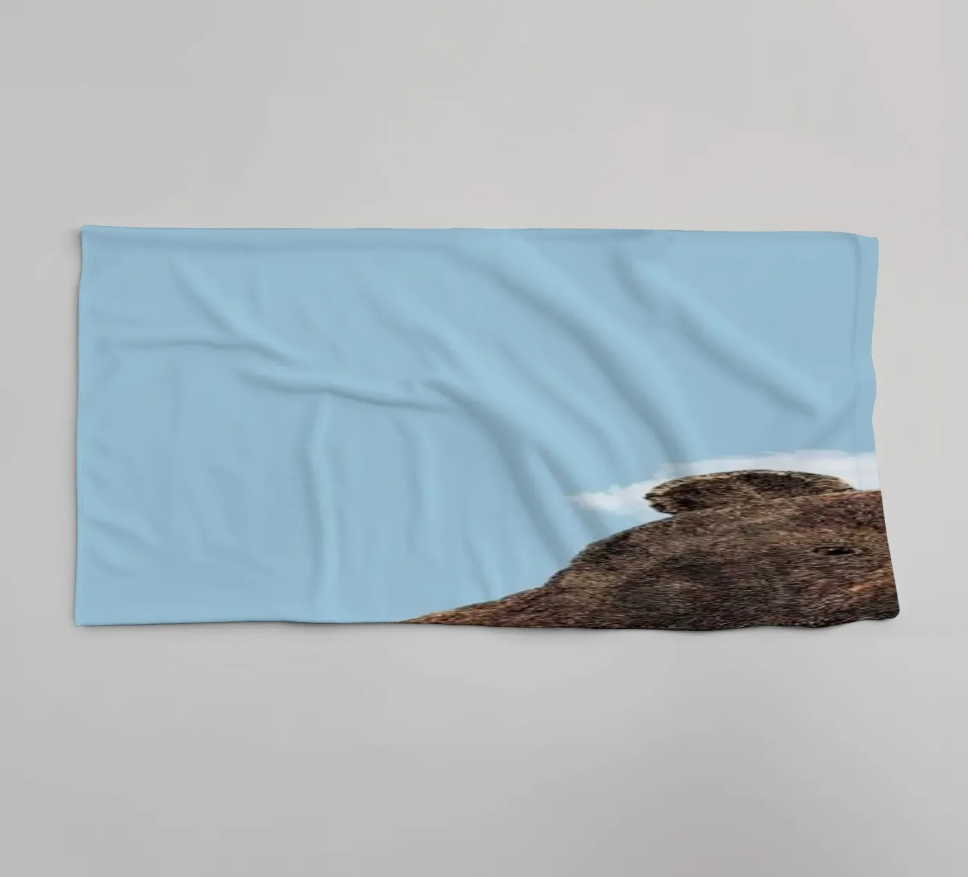 Bear towel by Rafael Burato