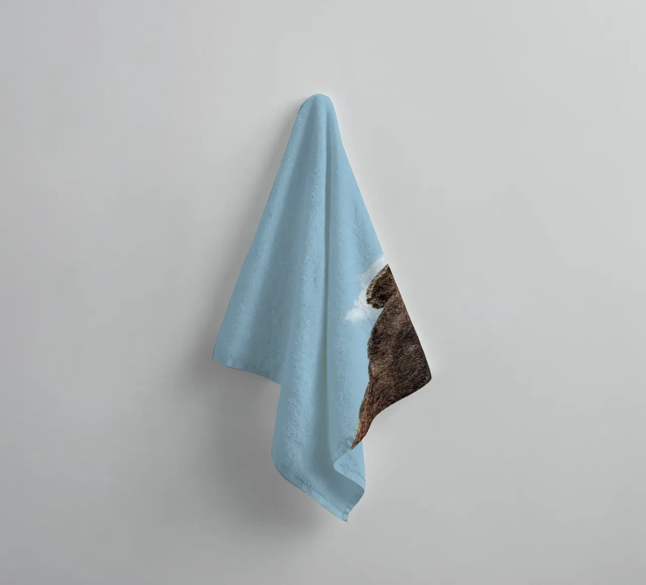 Bear towel by Rafael Burato