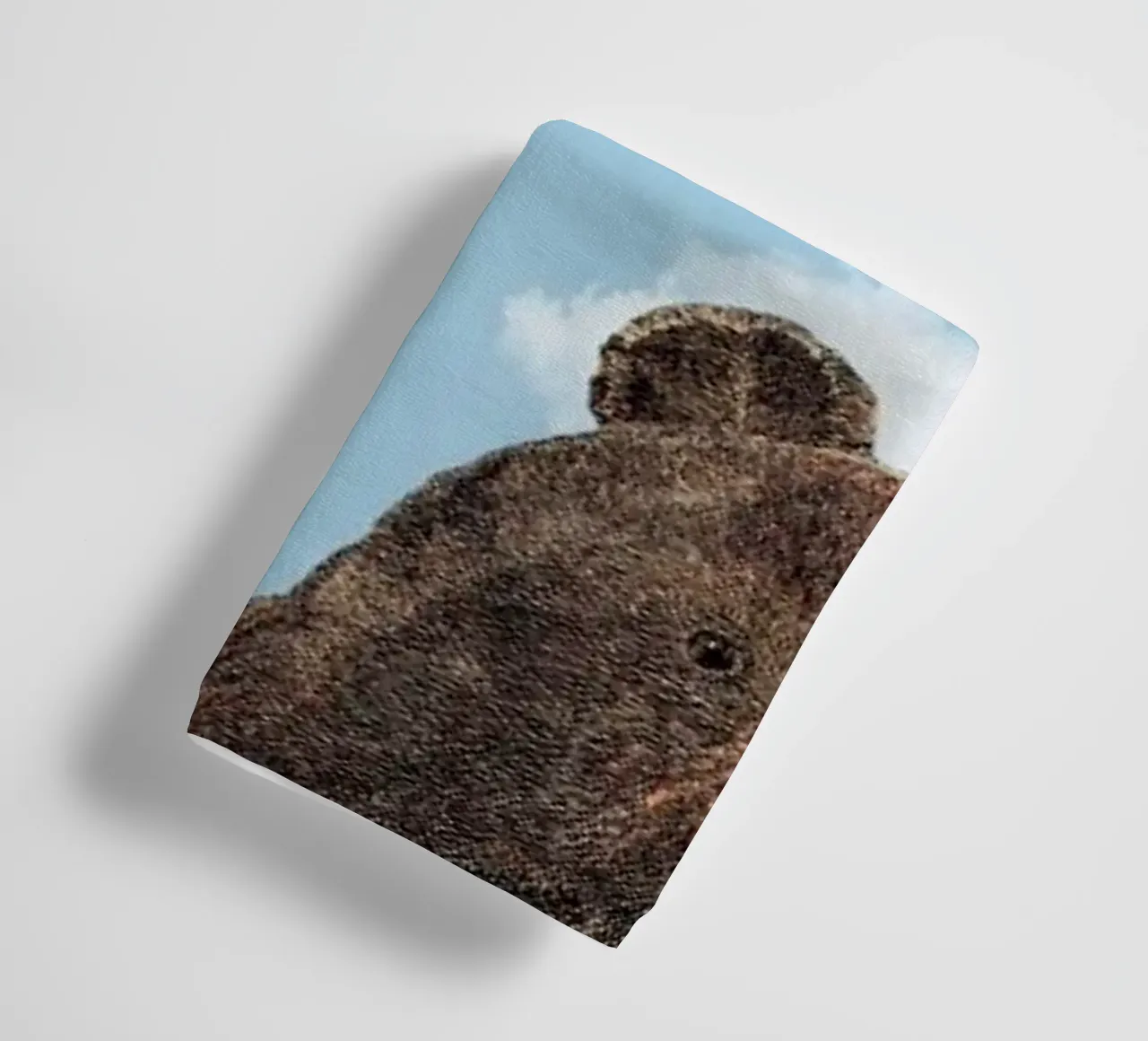 Bear towel by Rafael Burato