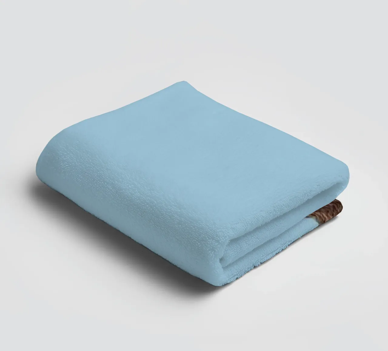 Bear towel by Rafael Burato