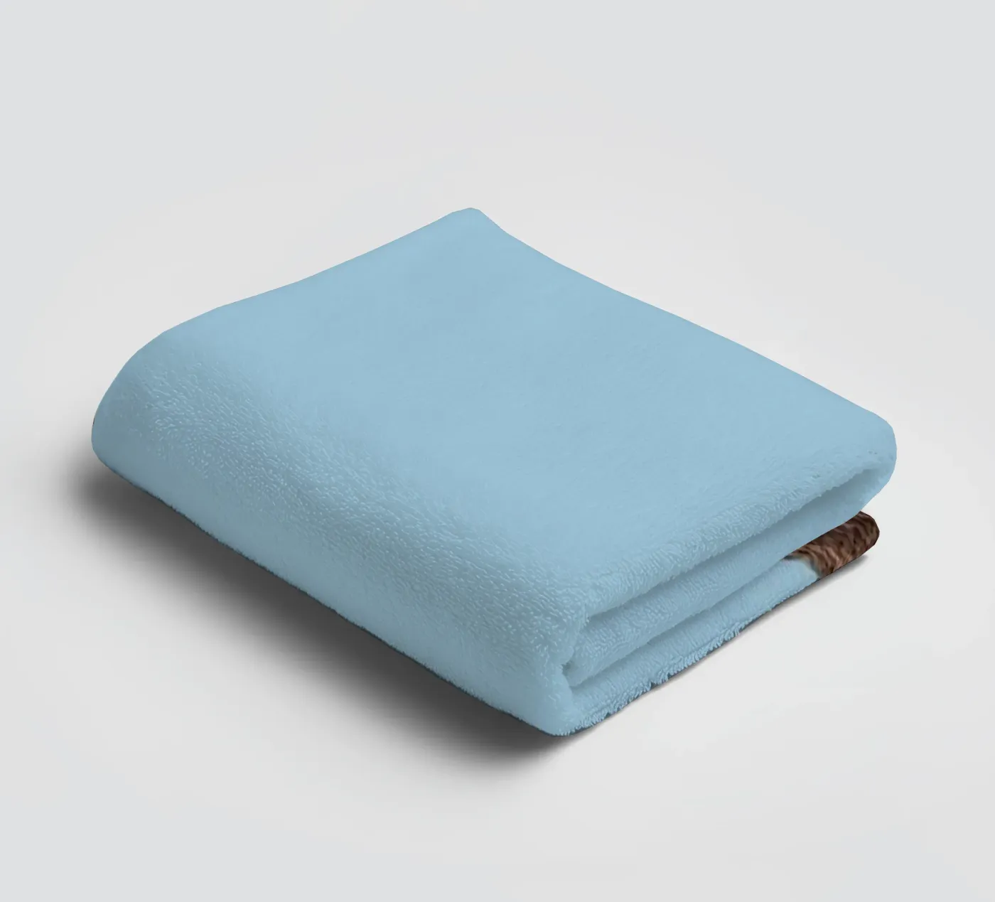 Bear towel by Rafael Burato