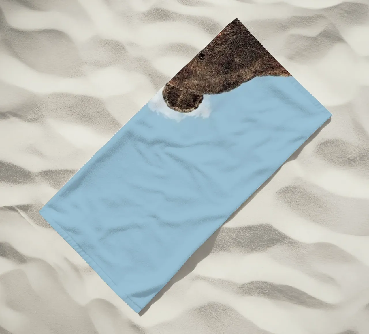 Bear telo mare da Rafael Burato