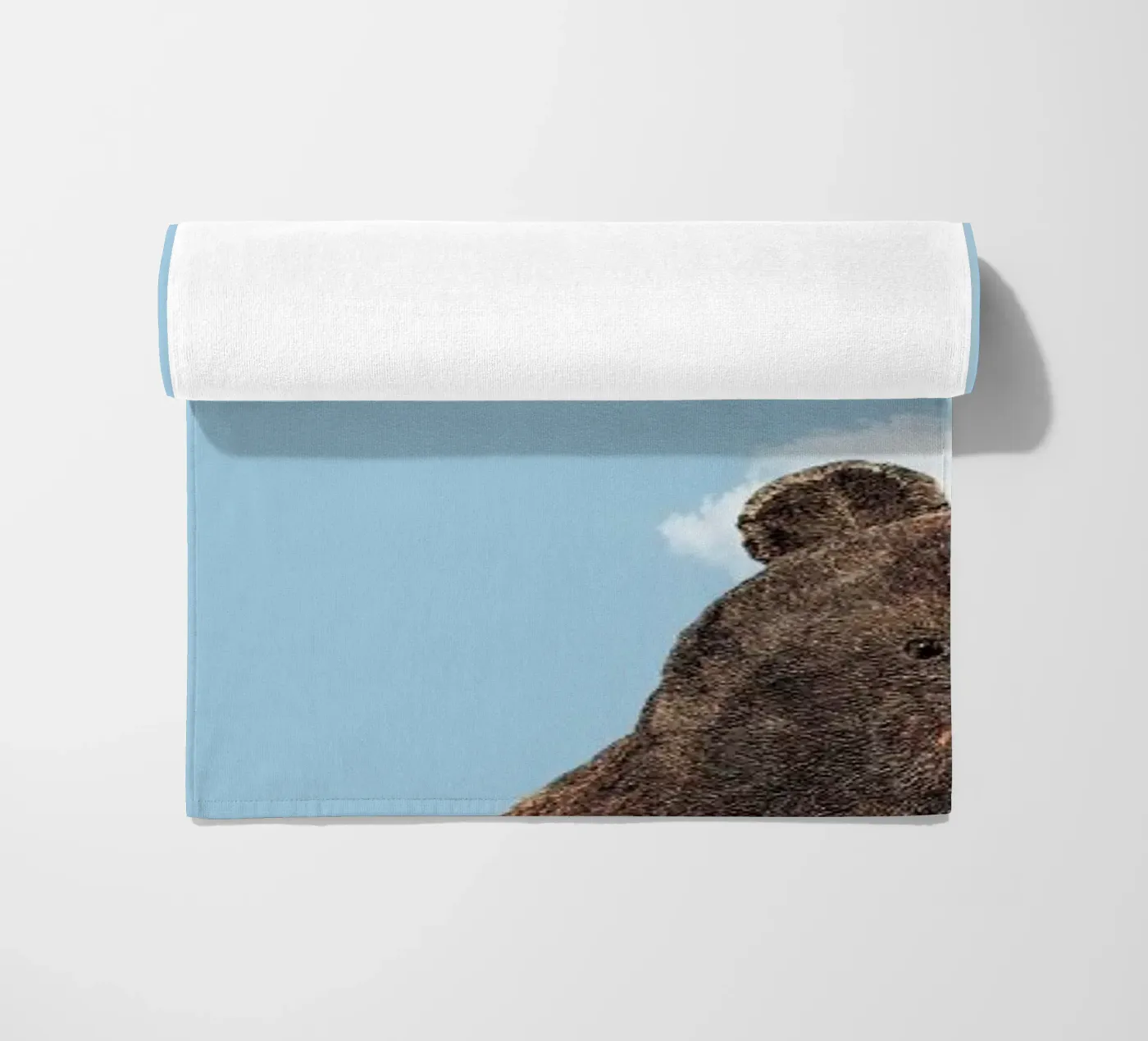 Bear telo mare da Rafael Burato