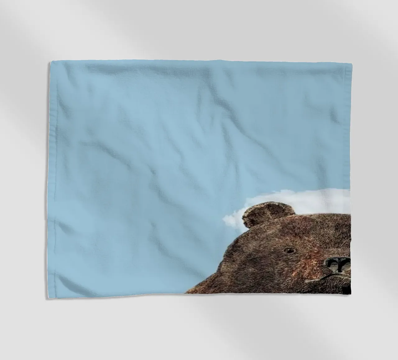 Bear telo mare da Rafael Burato