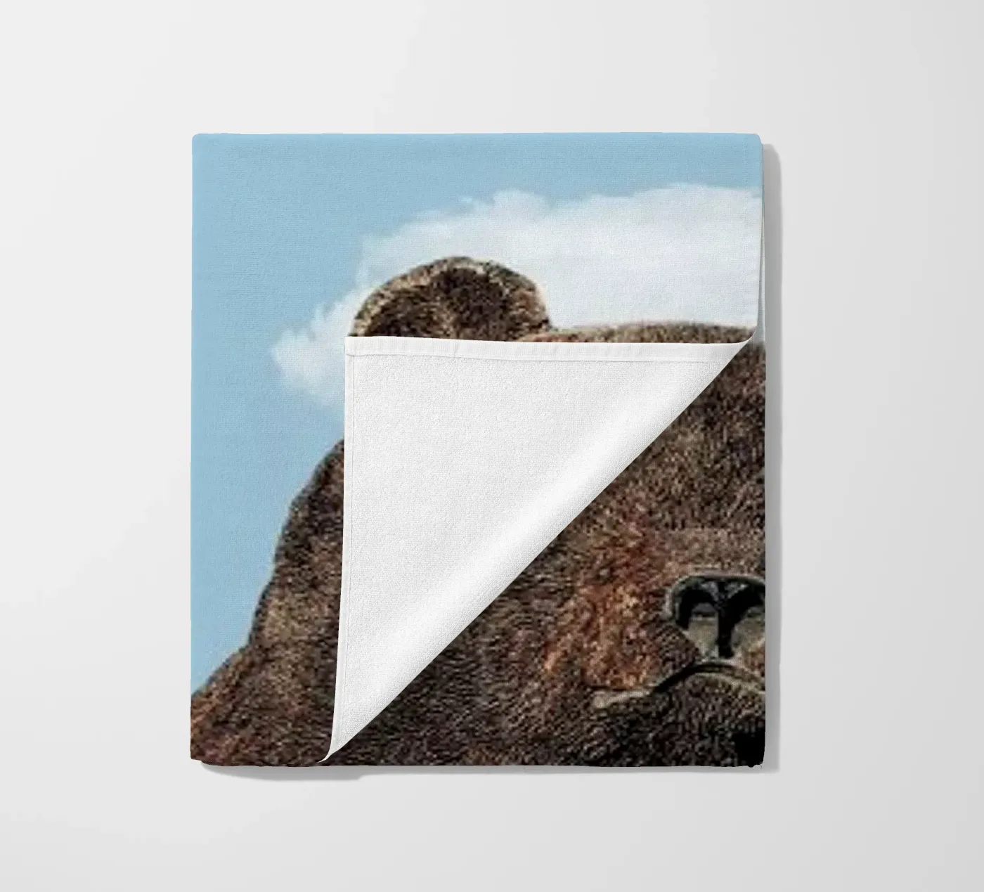 Bear telo mare da Rafael Burato