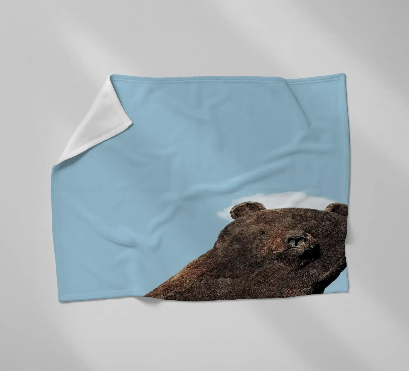 Bear fleece blanket by Rafael Burato