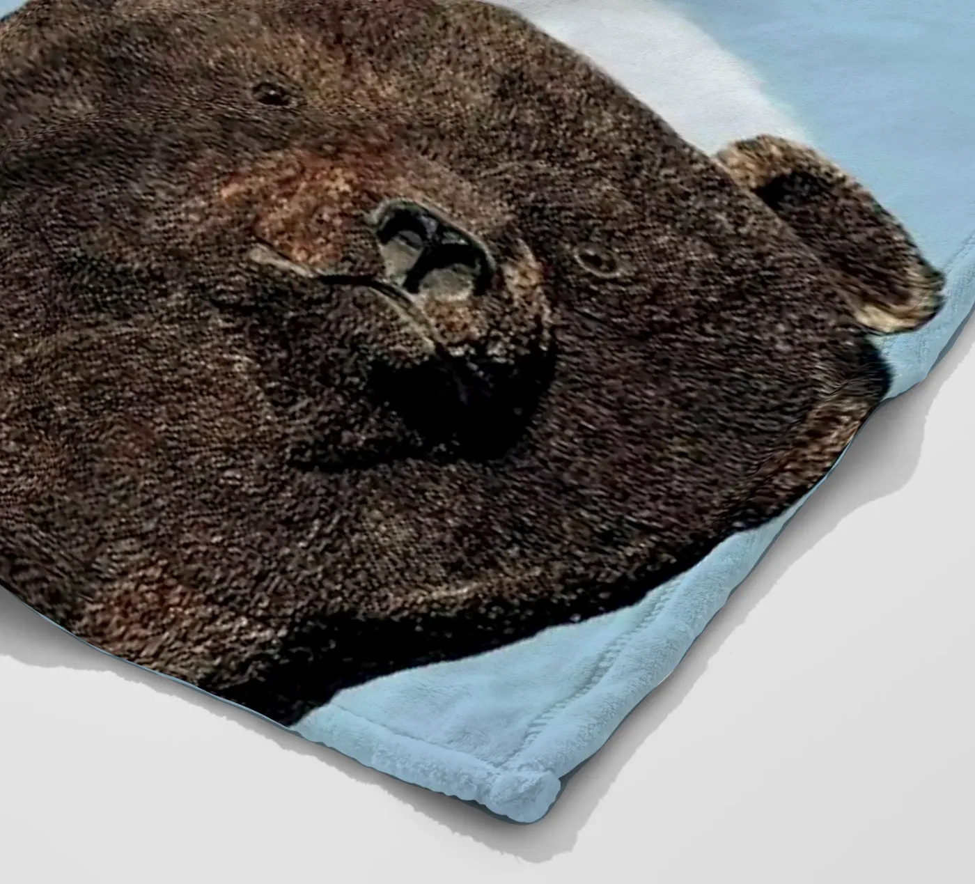 Bear fleece blanket by Rafael Burato