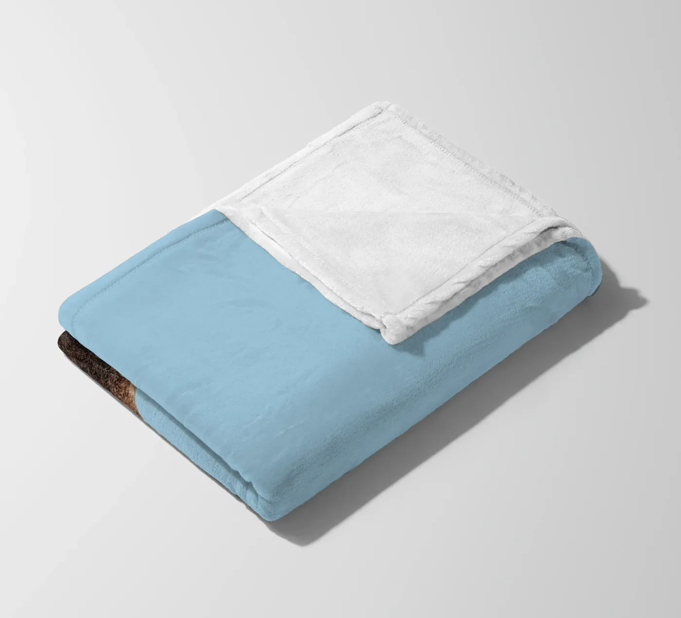 Bear fleece blanket by Rafael Burato