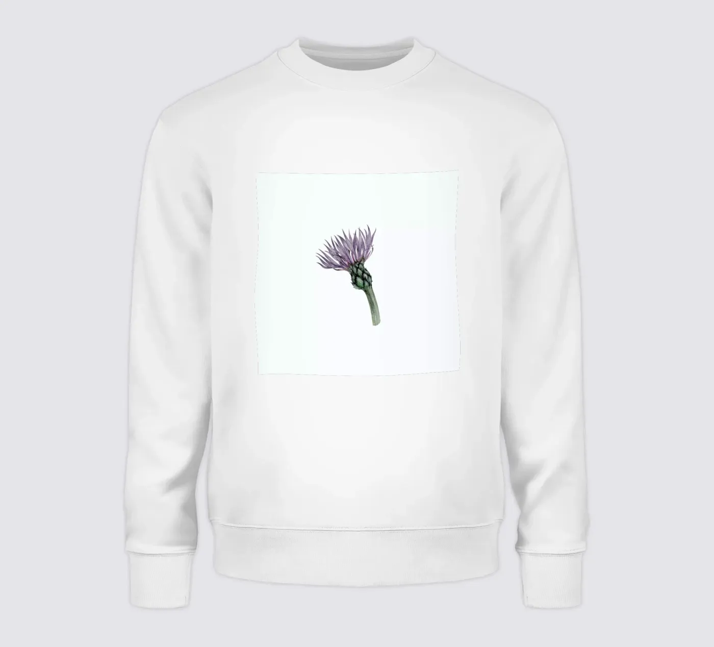Cornflower felpa da Maria Vdovichenko
