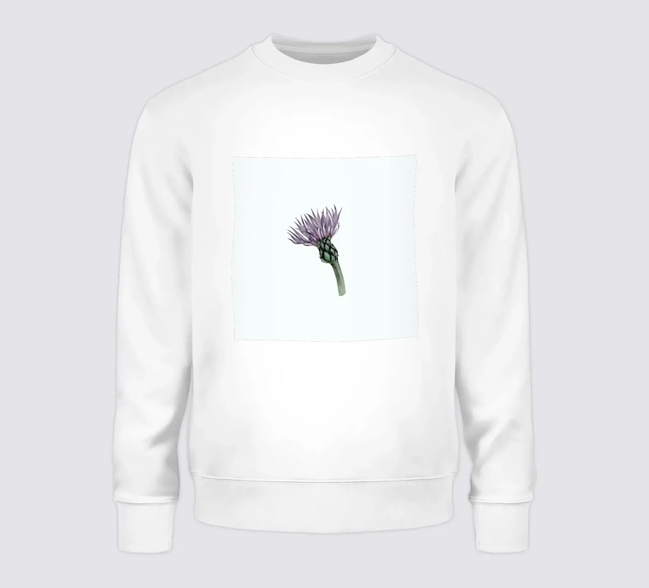 Cornflower felpa da Maria Vdovichenko