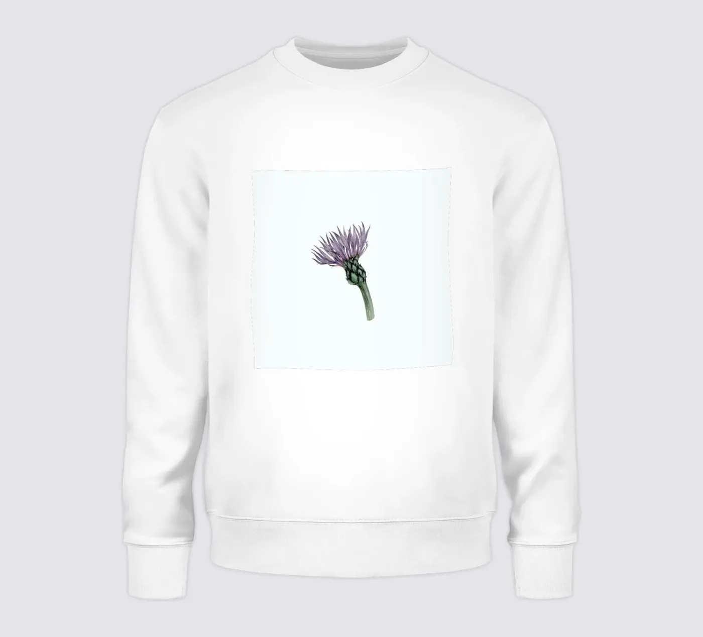 Cornflower felpa da Maria Vdovichenko