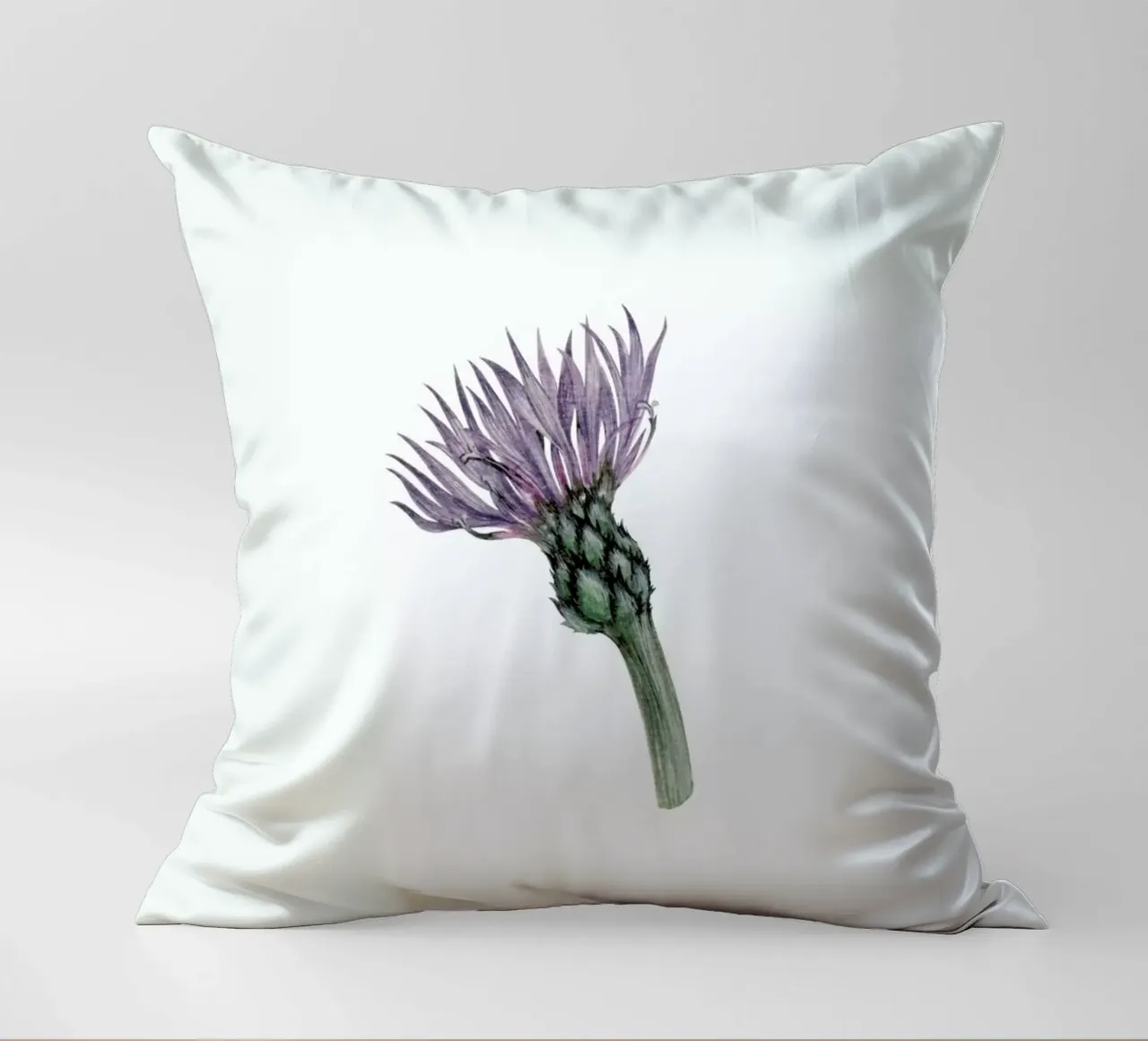 Cornflower cuscino da Maria Vdovichenko