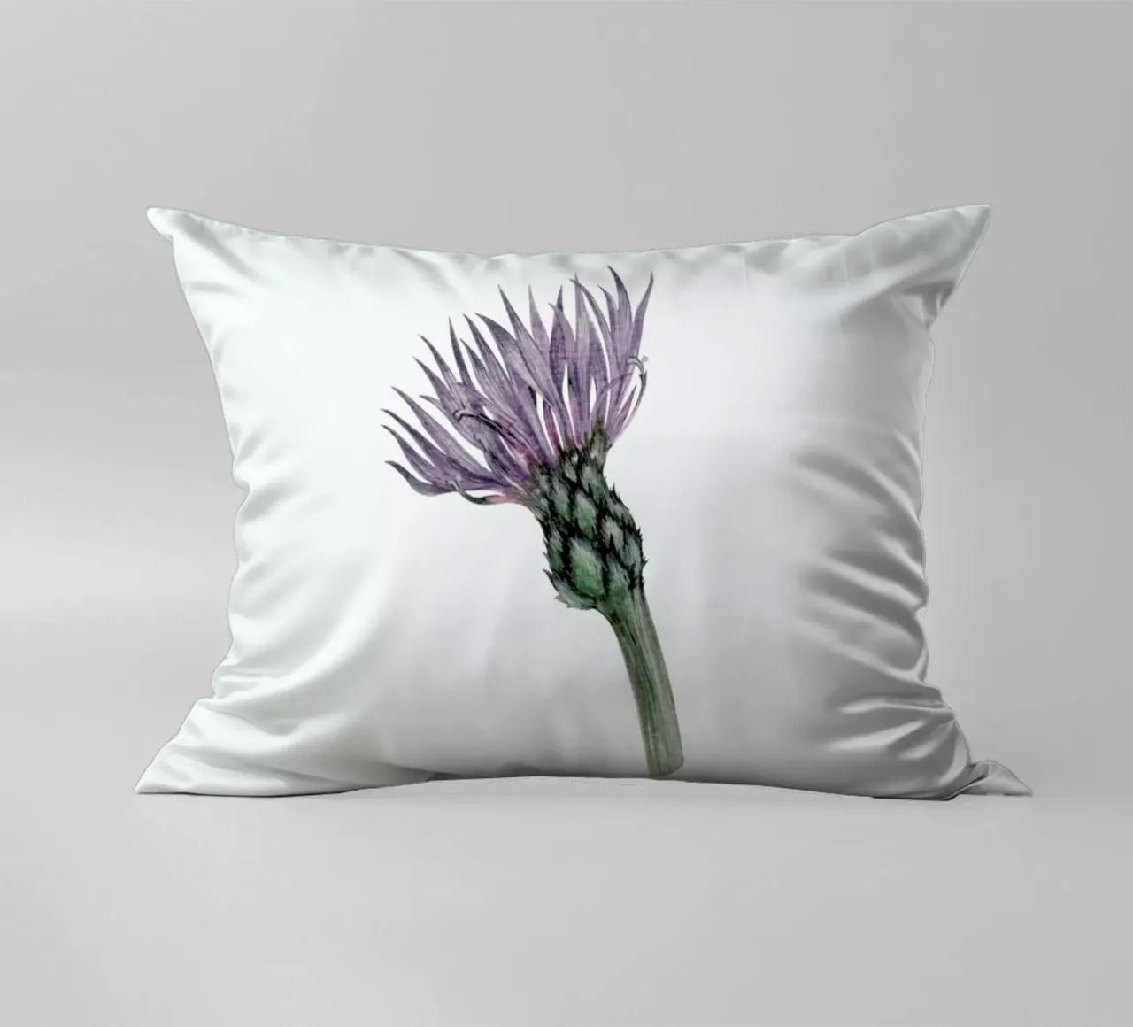 Cornflower cuscino da Maria Vdovichenko