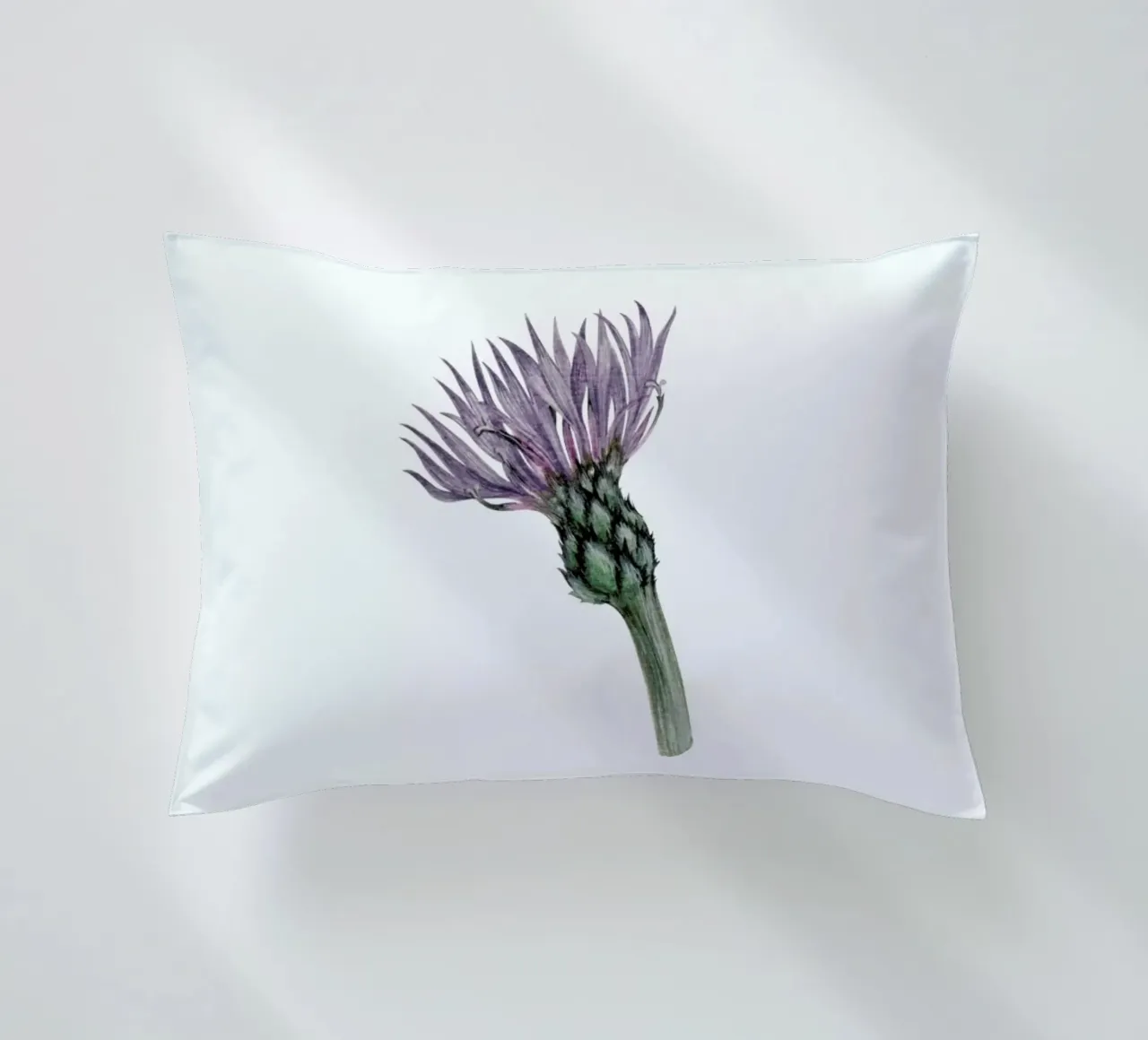 Cornflower cuscino da Maria Vdovichenko