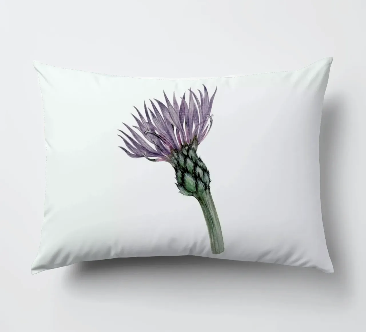 Cornflower cuscino da Maria Vdovichenko