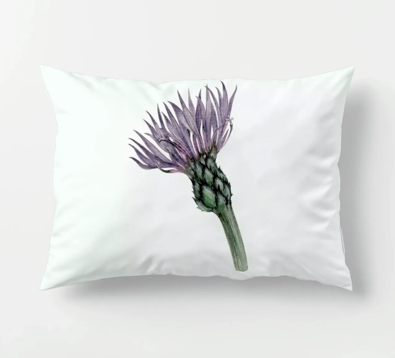 Cornflower cuscino da Maria Vdovichenko