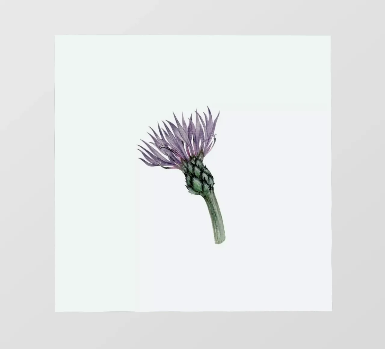 Cornflower telo in pvc da Maria Vdovichenko