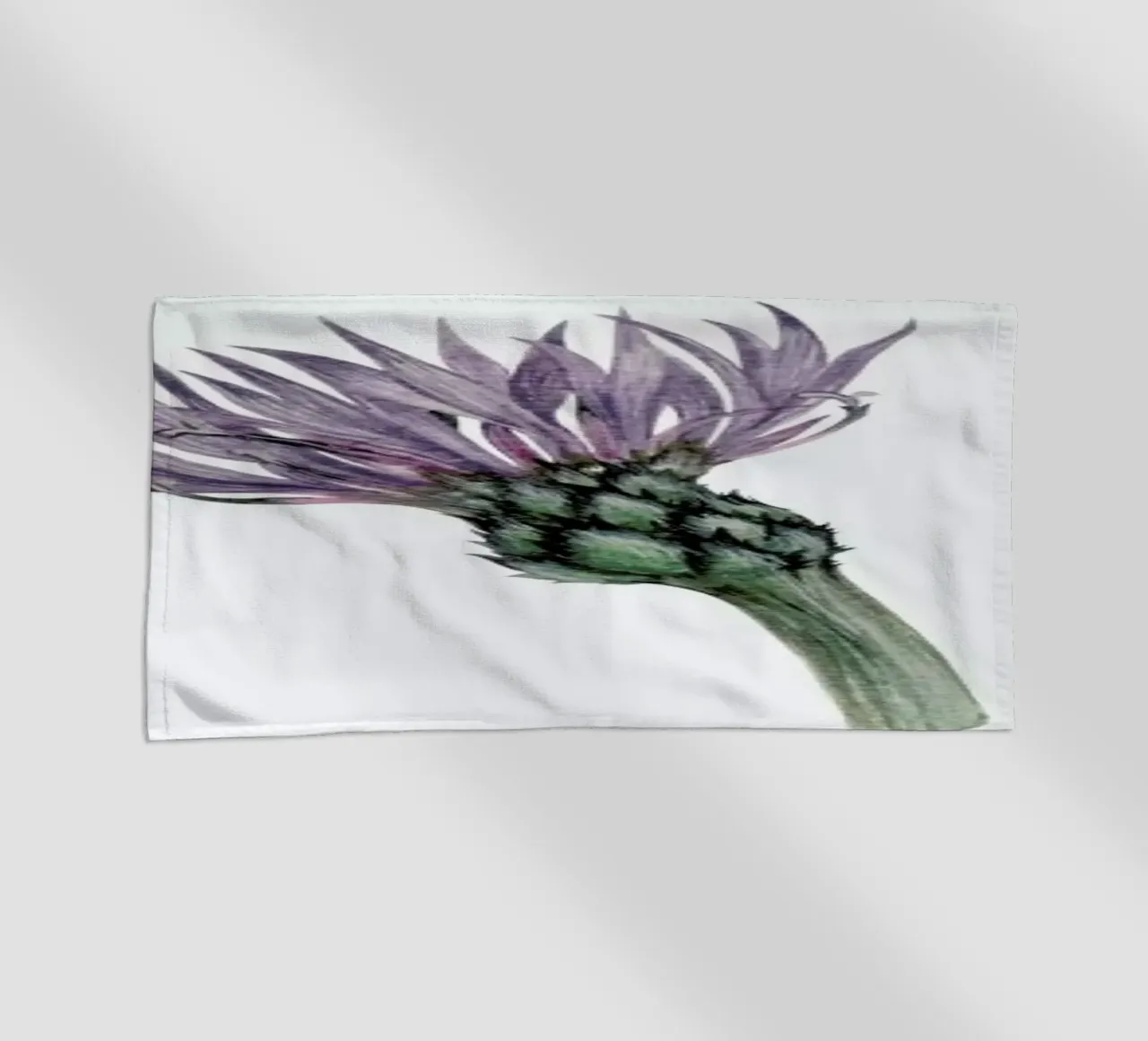 Cornflower telo mare da Maria Vdovichenko