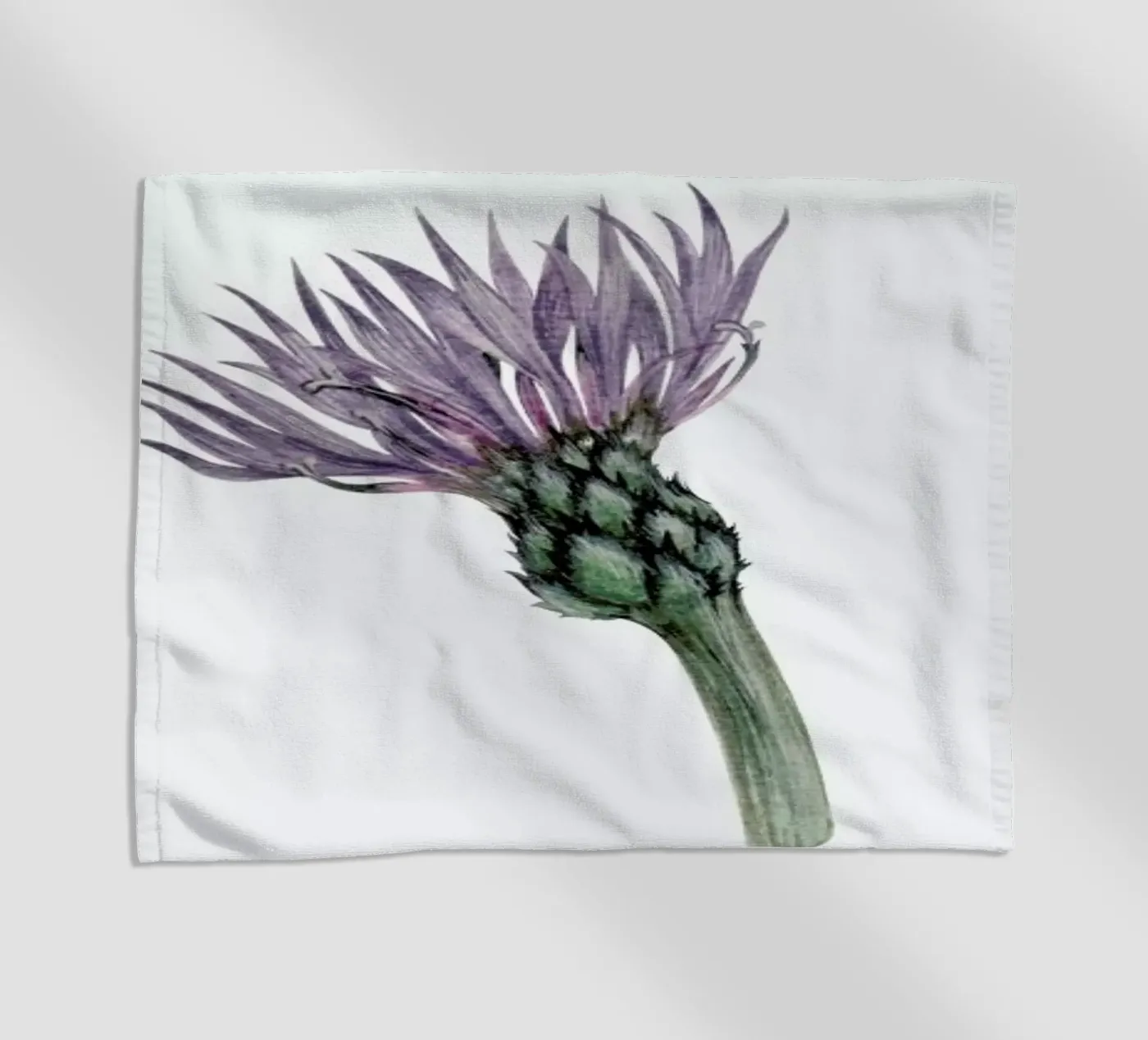 Cornflower telo mare da Maria Vdovichenko