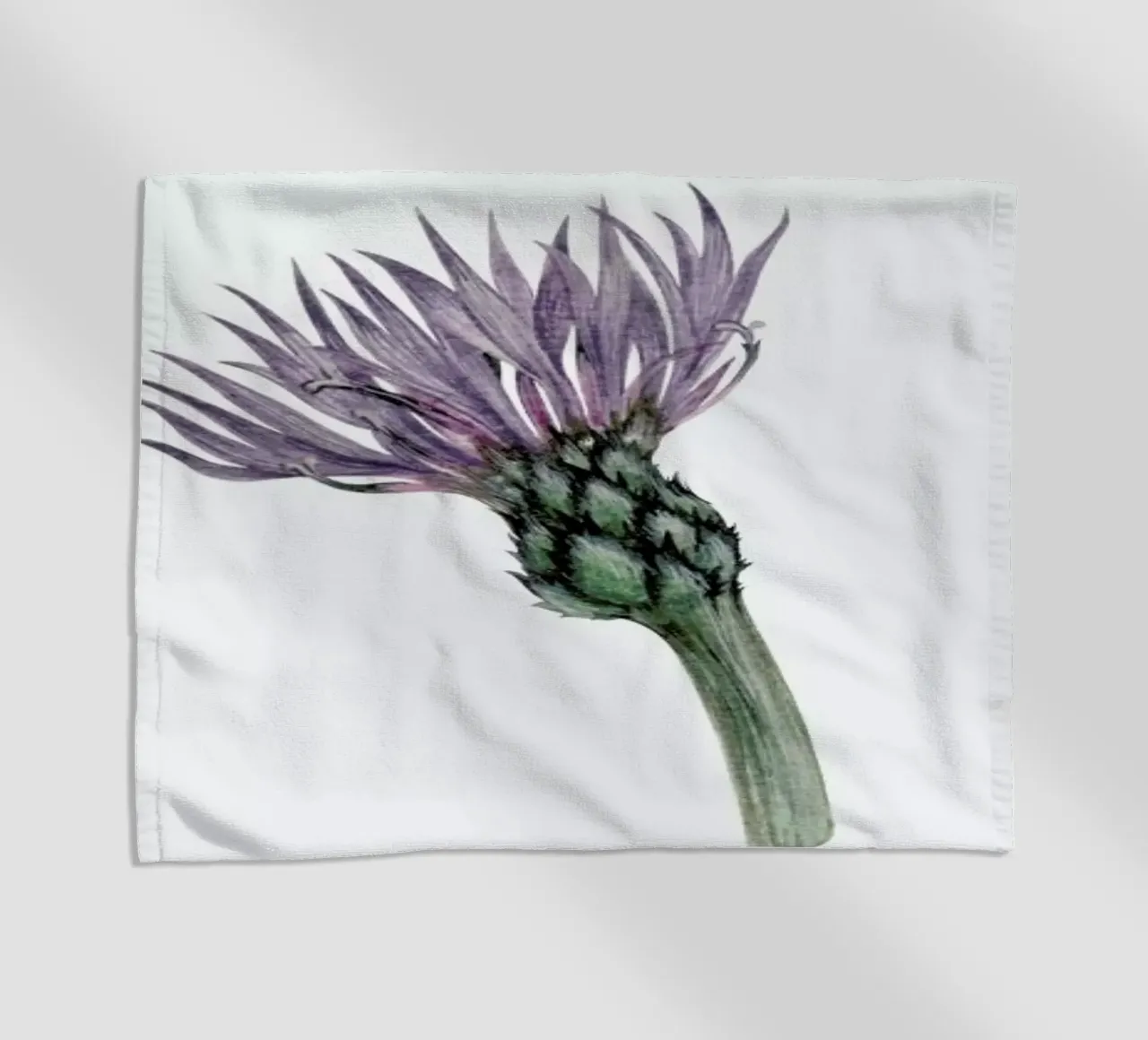 Cornflower telo mare da Maria Vdovichenko