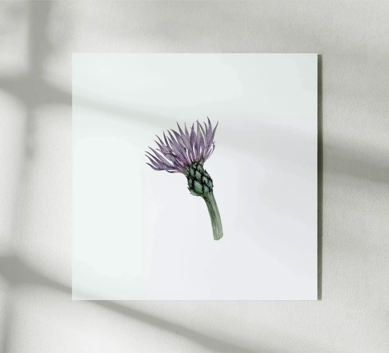 Cornflower plexiglass da Maria Vdovichenko