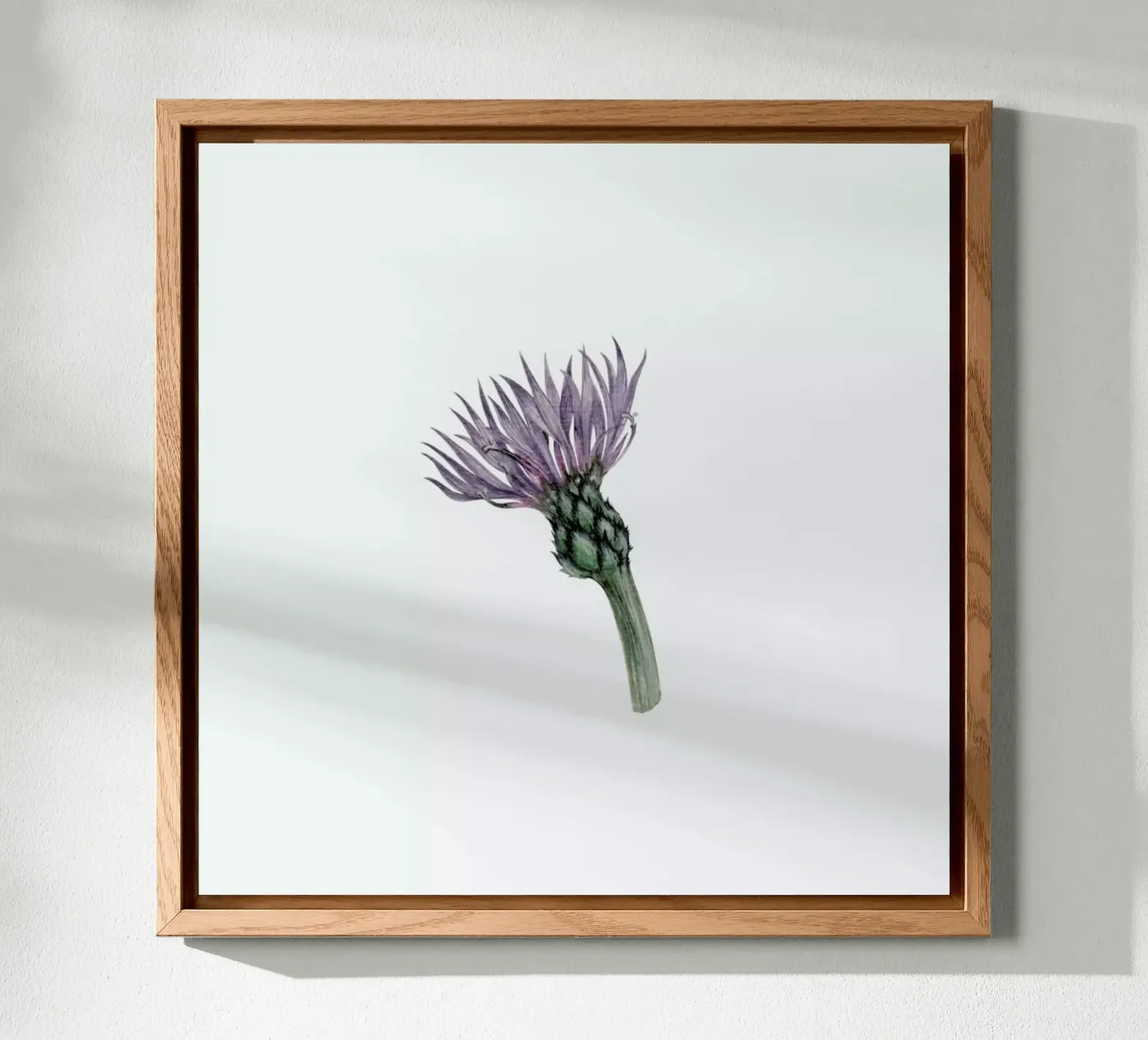 Cornflower pannello forex da Maria Vdovichenko