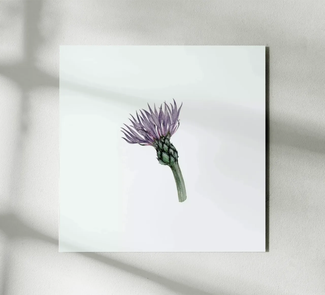 Cornflower pannello forex da Maria Vdovichenko