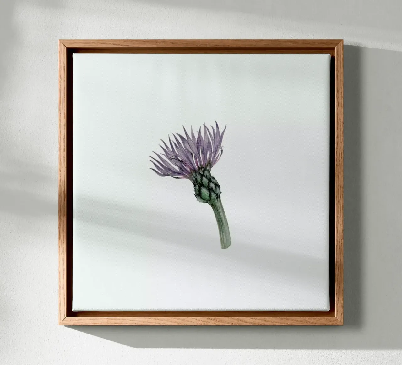 Cornflower tela da Maria Vdovichenko