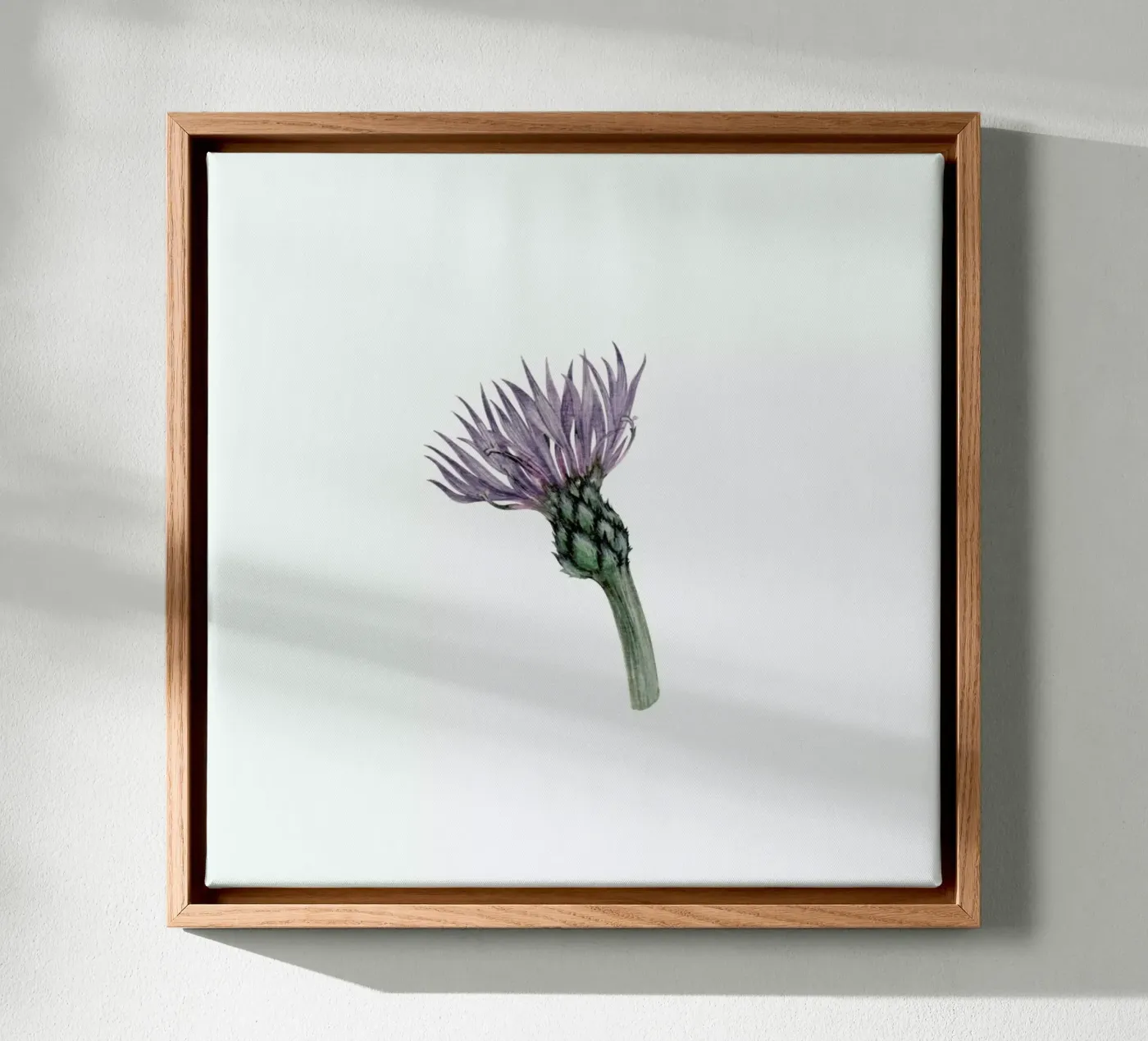 Cornflower tela da Maria Vdovichenko