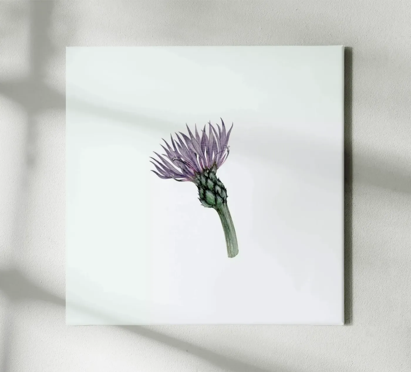 Cornflower tela da Maria Vdovichenko