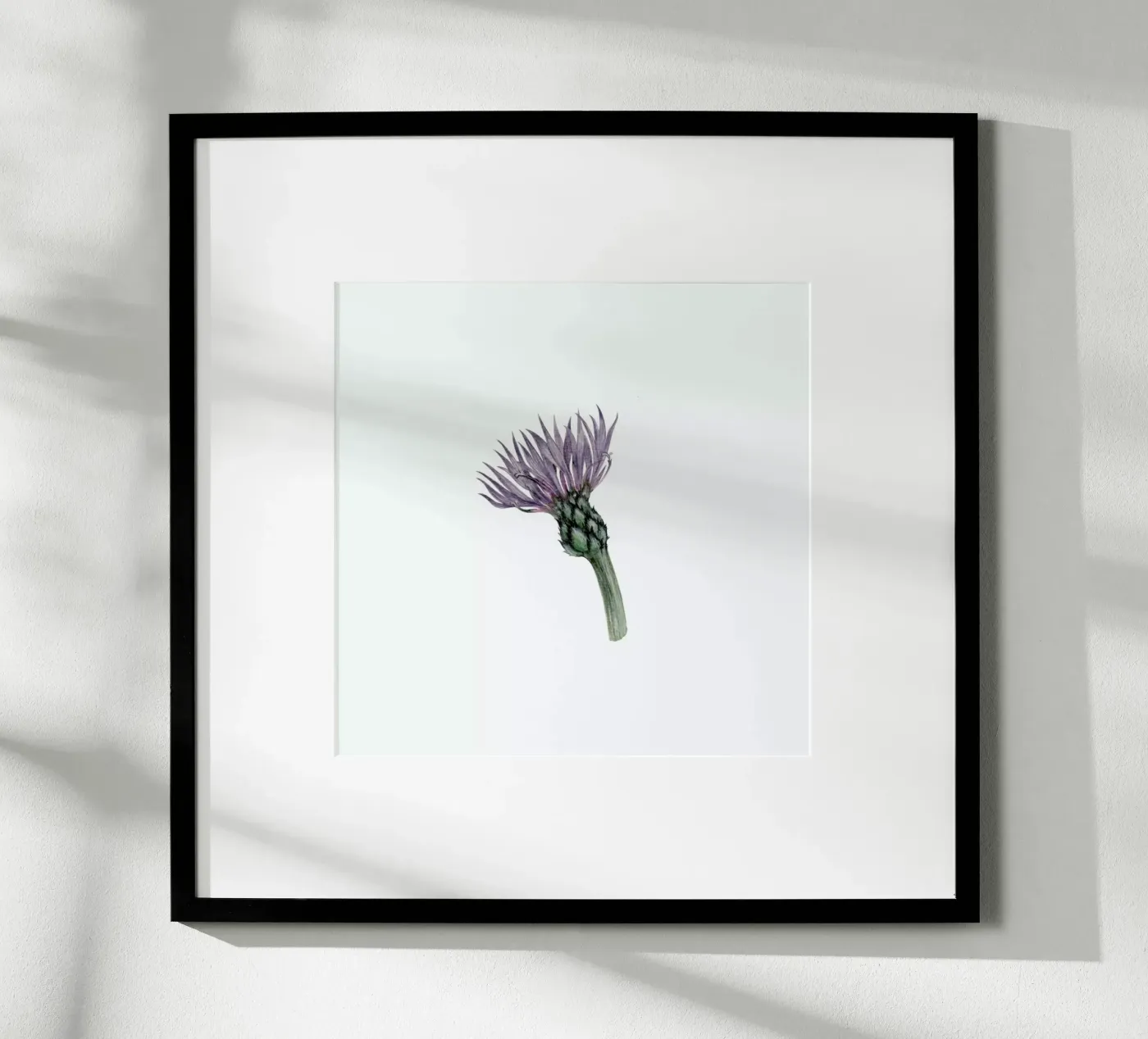 Cornflower Poster von Maria Vdovichenko