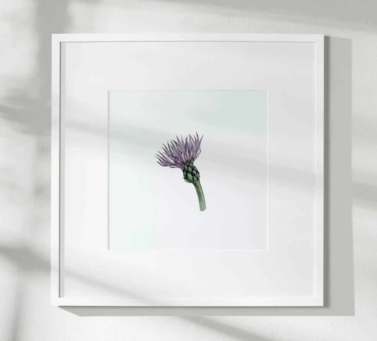 Cornflower carta hahnemühle da Maria Vdovichenko