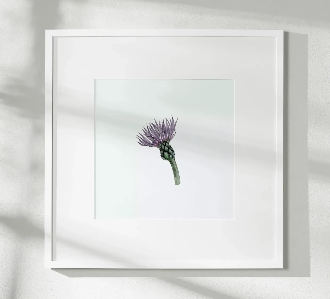 Cornflower Poster von Maria Vdovichenko