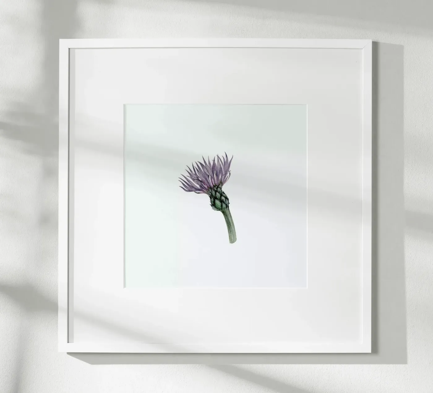 Cornflower poster da Maria Vdovichenko