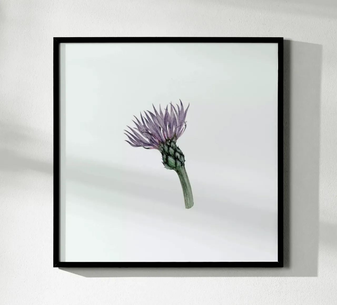 Cornflower carta hahnemühle da Maria Vdovichenko