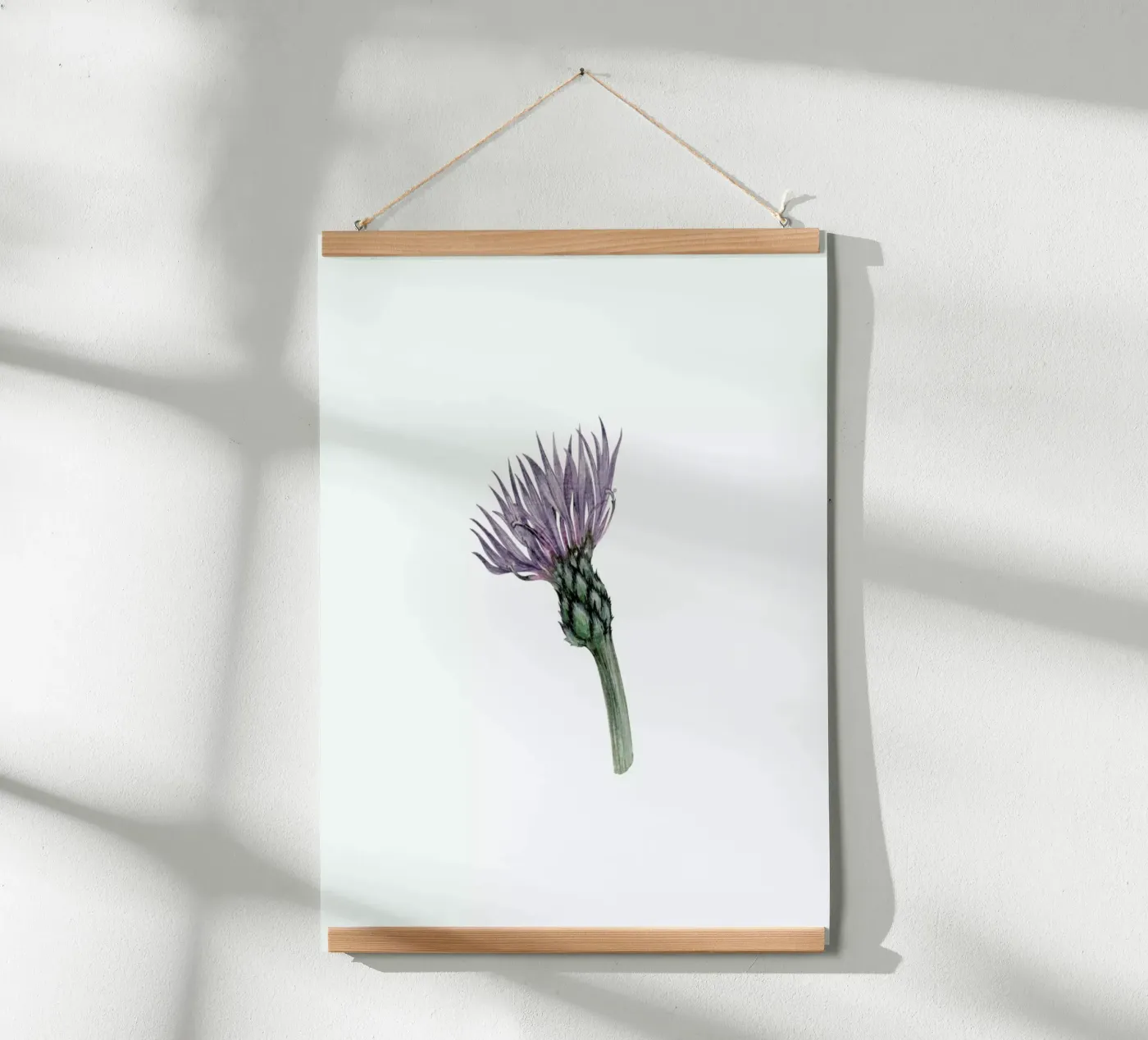 Cornflower Poster von Maria Vdovichenko
