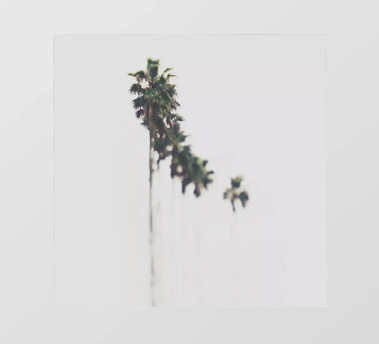 Palms telo in pvc da Ingrid Beddoes