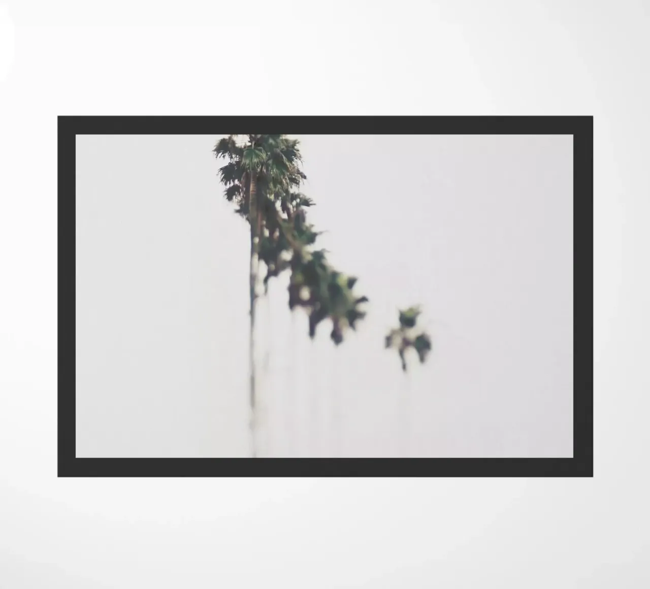 Palms zerbino da Ingrid Beddoes