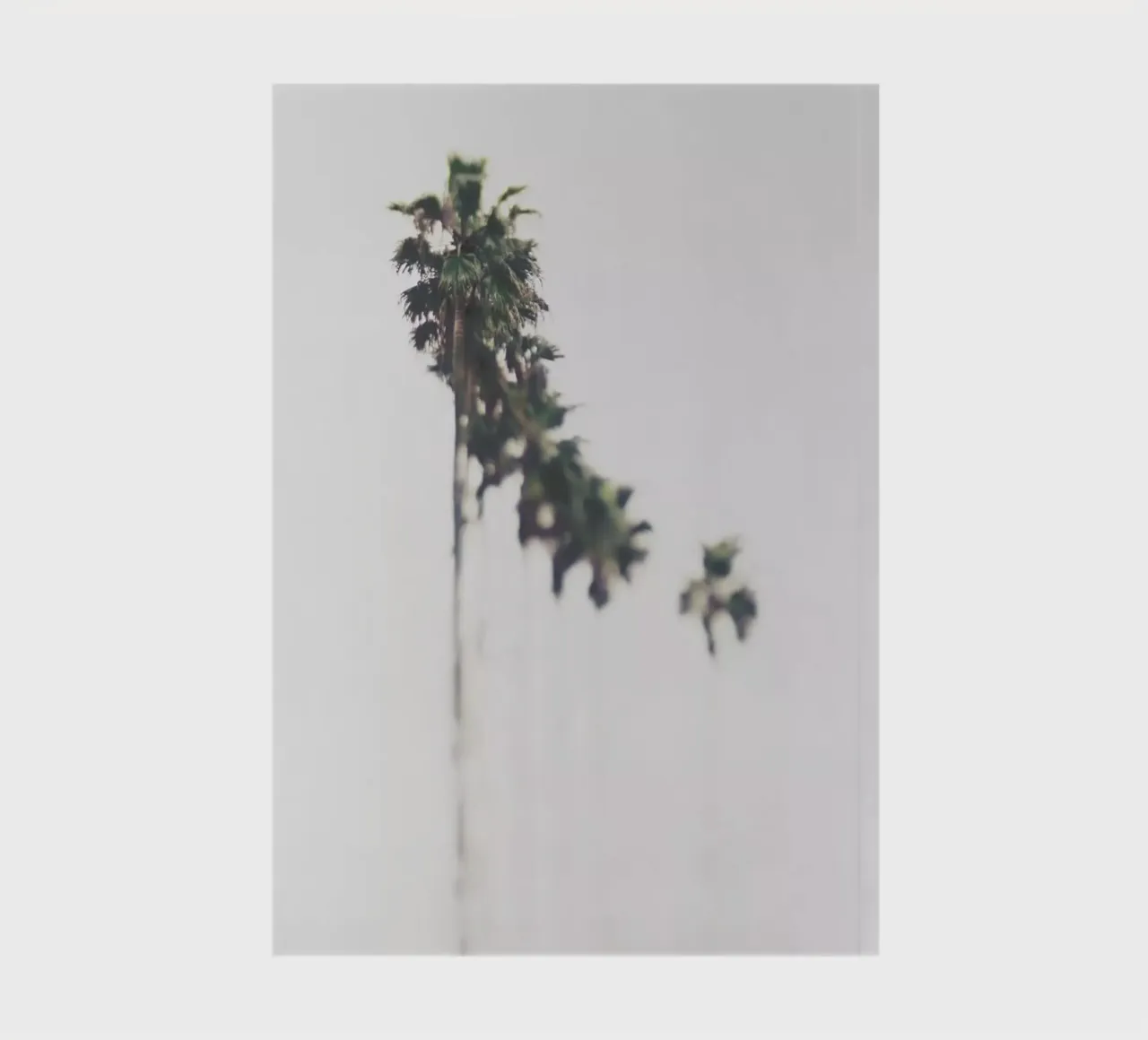 Palms notebook by Ingrid Beddoes