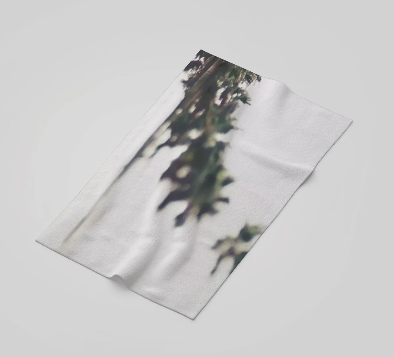 Palms telo mare da Ingrid Beddoes