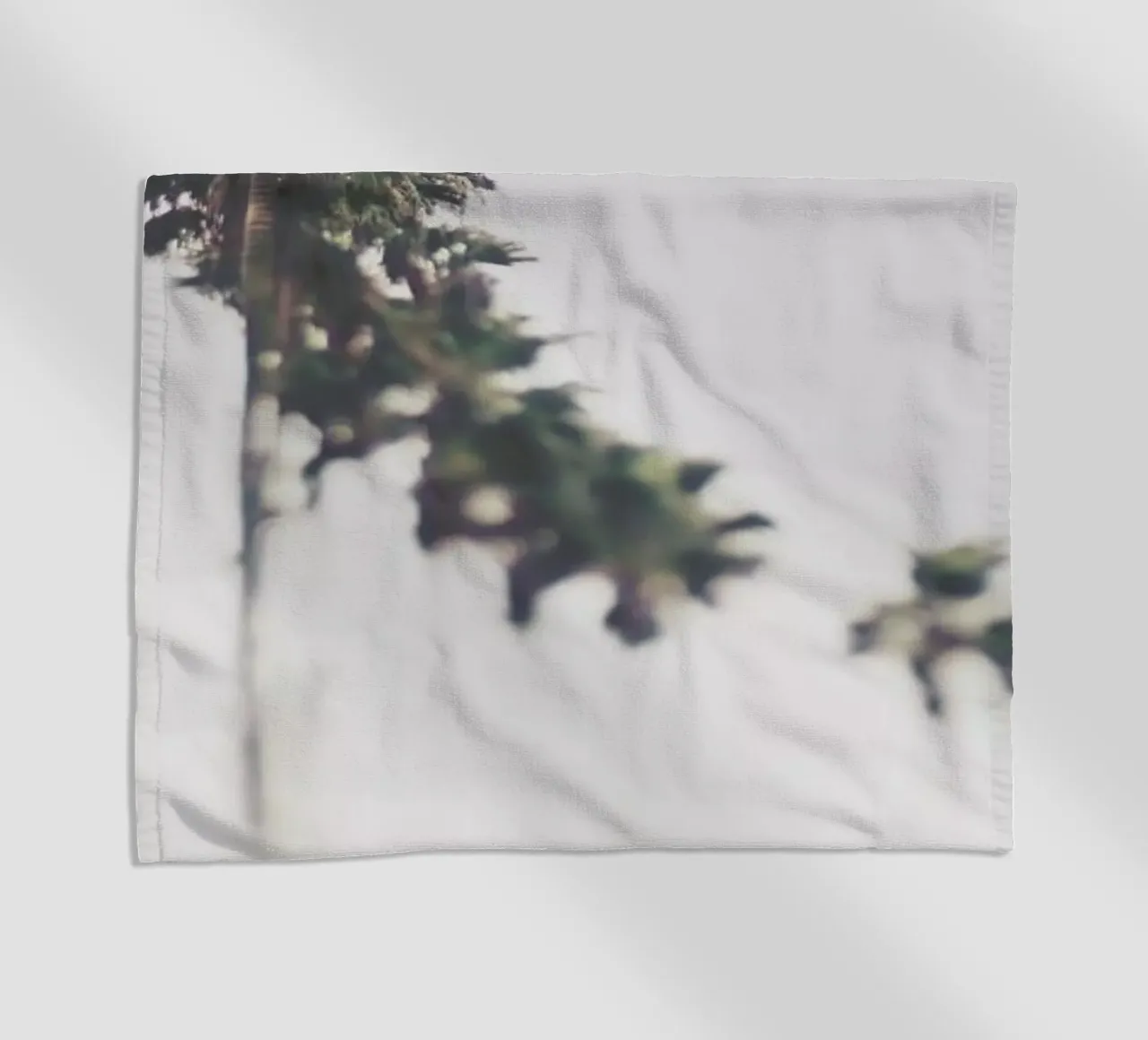 Palms telo mare da Ingrid Beddoes