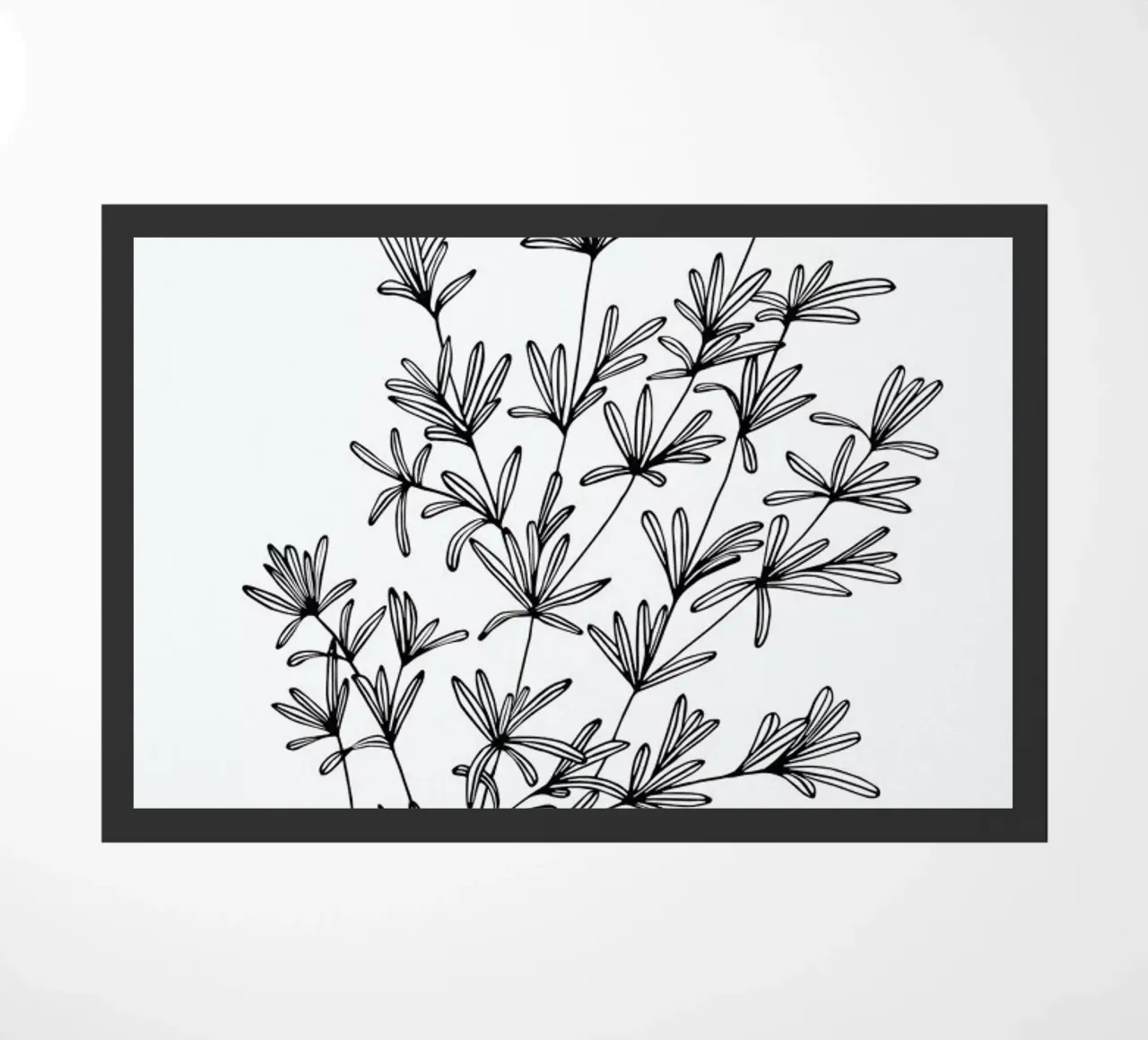 Bohnenkraut zerbino da Studio Karamelo