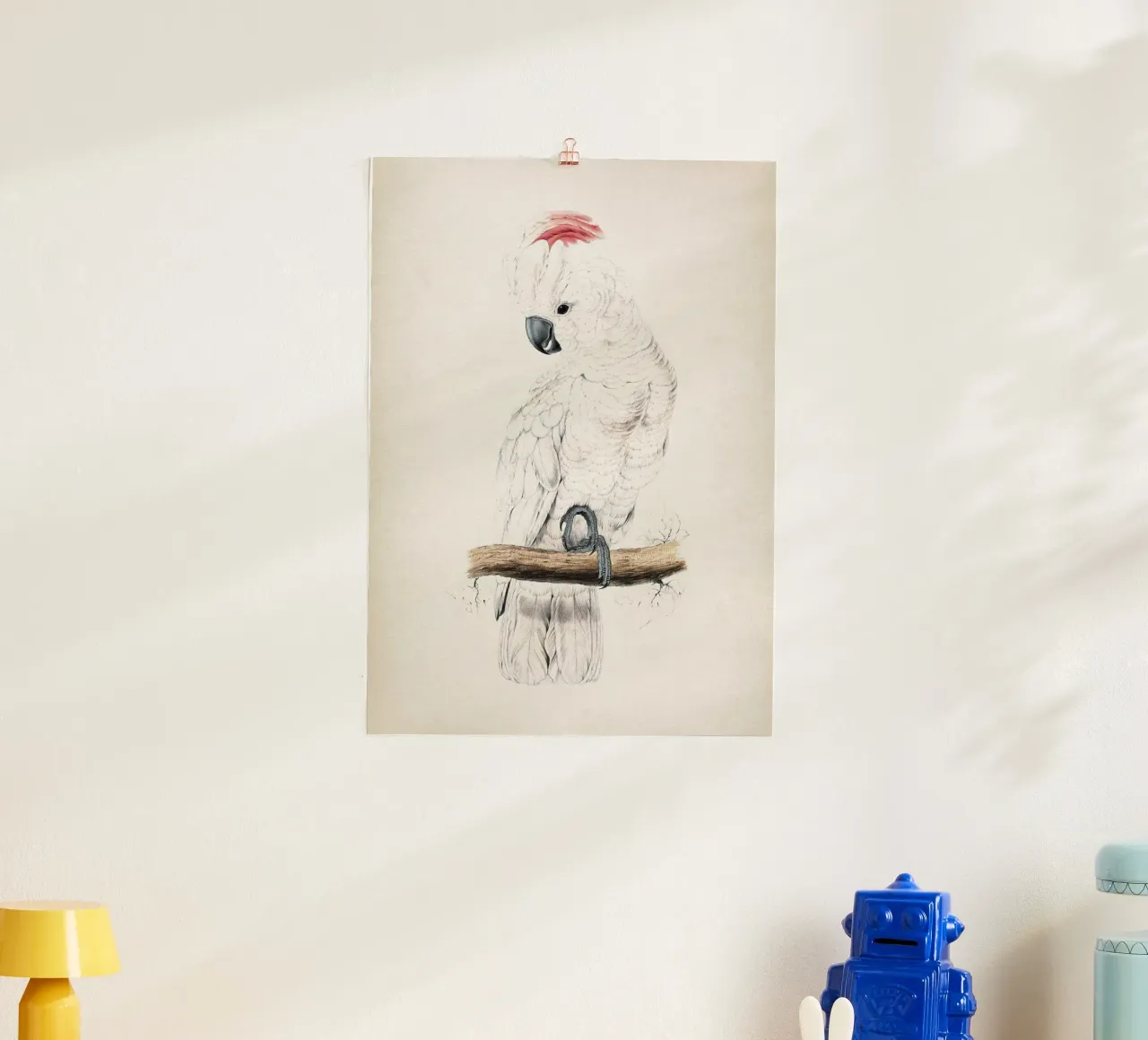 Vintage Lear 1 Plyctolophus Rosaceus poster con telaio in legno da Vintage Print Collection