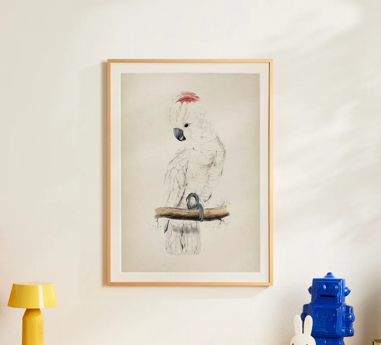 Vintage Lear 1 Plyctolophus Rosaceus poster con telaio in legno da Vintage Print Collection