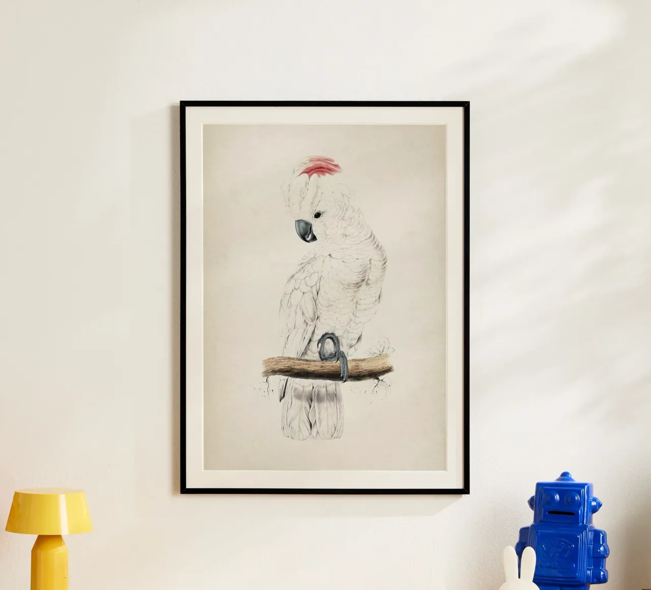 Vintage Lear 1 Plyctolophus Rosaceus poster con telaio in legno da Vintage Print Collection