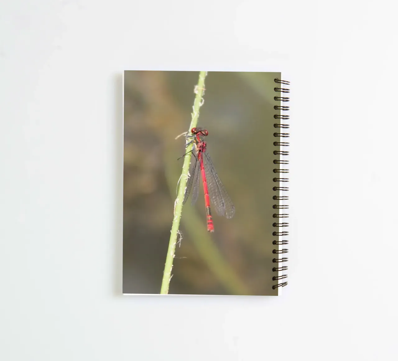 Un air de printemps - Dragonflies spiral notebook by MiniClic