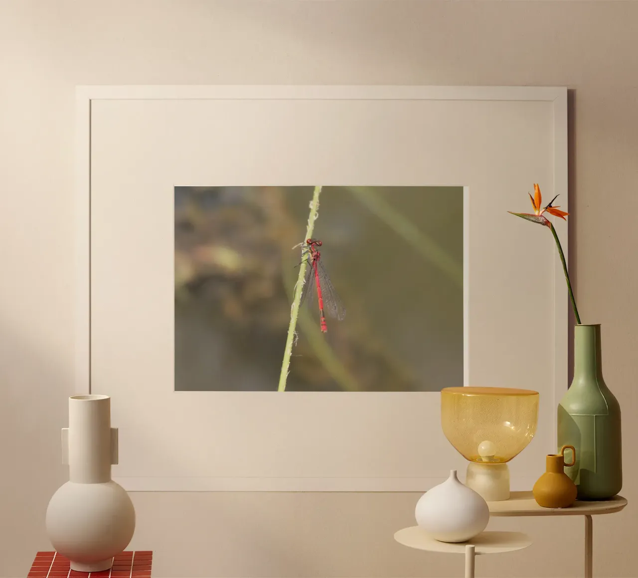 Un air de printemps - Libellen poster met houten frame van MiniClic