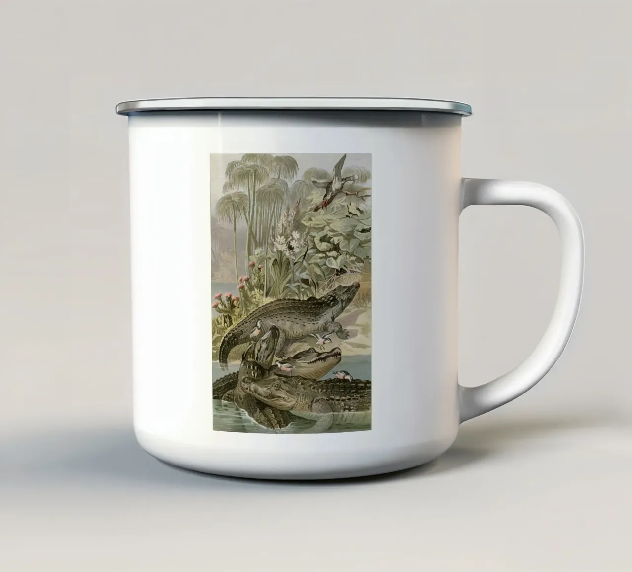 Vintage Brehm 1 Krokodil tazza in smalto da Vintage Print Collection