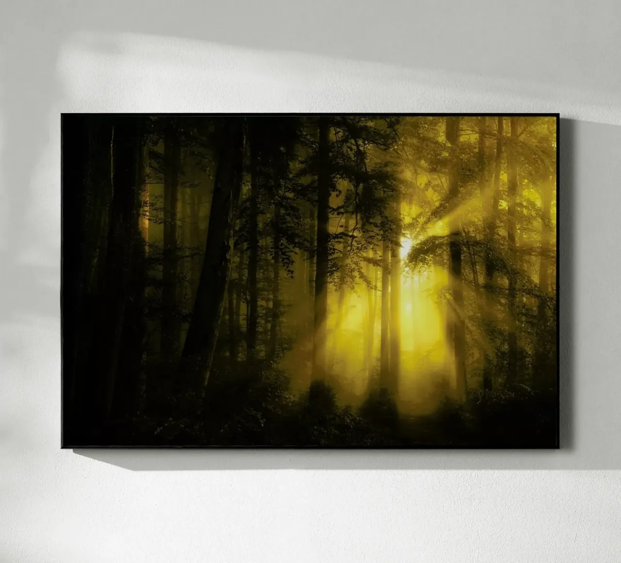 Yellow - Norbert Maier plexiglass da Pictufy